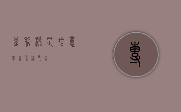 专利权是啥意思（专利权是啥）