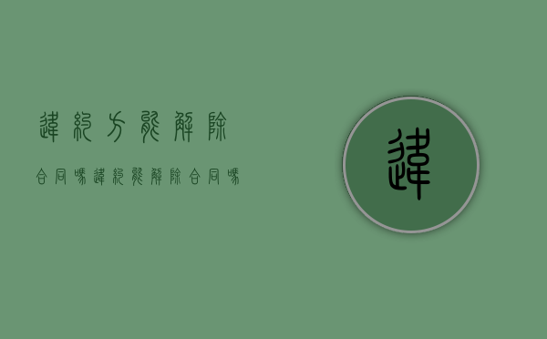 违约方能解除合同吗（违约能解除合同吗）