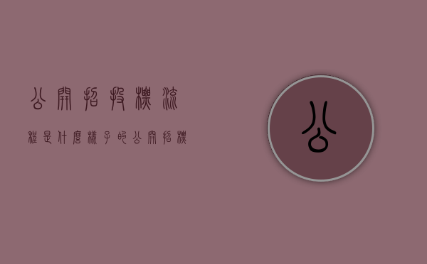 公开招投标流程是什么样子的（公开招标流程图及解说）