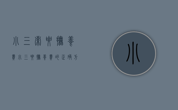 小三索要抚养费（小三要抚养费的正确方式）