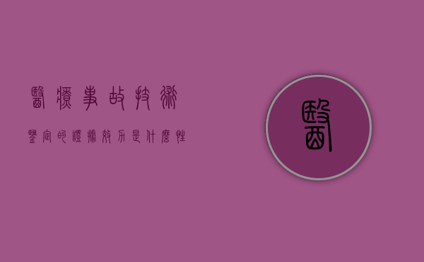 医疗事故技术鉴定的证据效力是什么性质（医疗事故技术鉴定结论由谁作出）