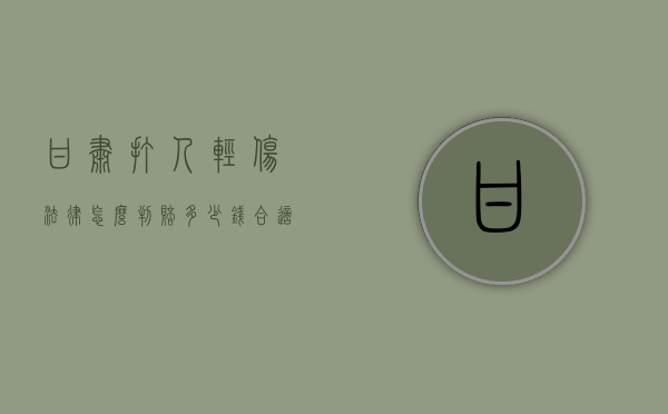 甘肃打人轻伤法律怎么判赔多少钱合适（甘肃殴打学生）