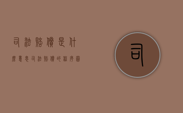 司法赔偿是什么意思（司法赔偿的程序图）