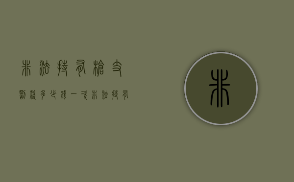 非法持有枪支罚款多少钱一次（非法持有枪支罚款多少钱判刑）