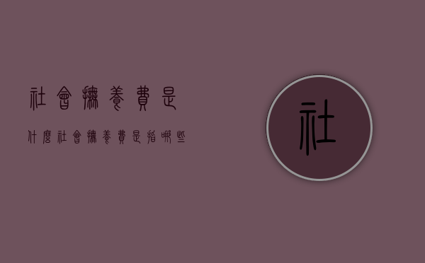 社会抚养费是什么（社会抚养费是指哪些）