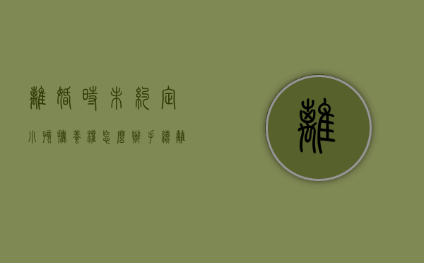 离婚时未约定小孩抚养权怎么办手续（离婚未约定抚养费的怎么办）