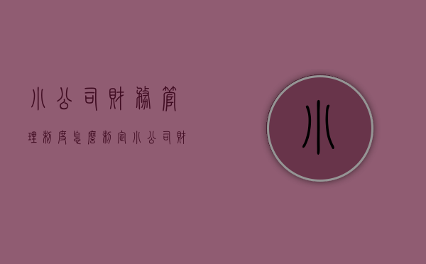 小公司财务管理制度怎么制定（小公司财务管理制度3篇）