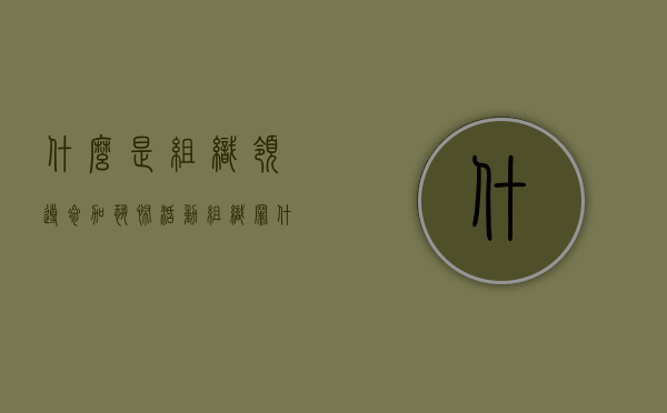 什么是组织领导参加恐怖活动组织罪（什么是组织领导参加恐怖活动组织罪的主体）