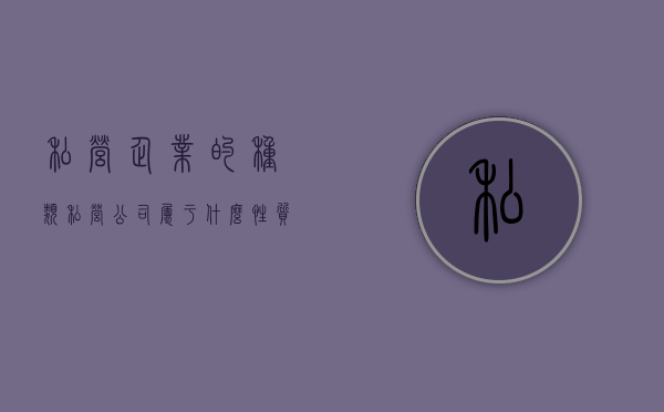 私营企业的种类（私营公司属于什么性质）