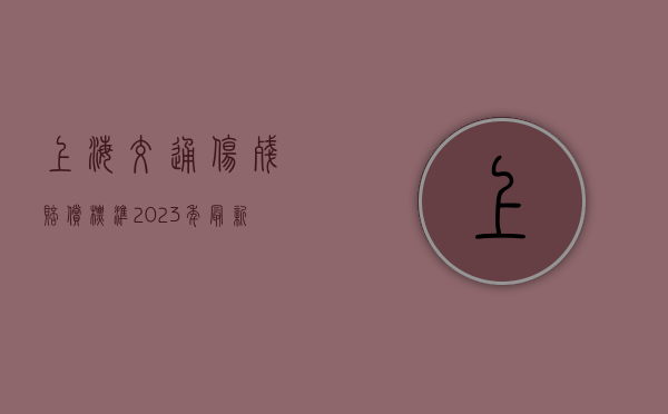 上海交通伤残赔偿标准2023年最新（上海交通伤残赔偿标准最新）