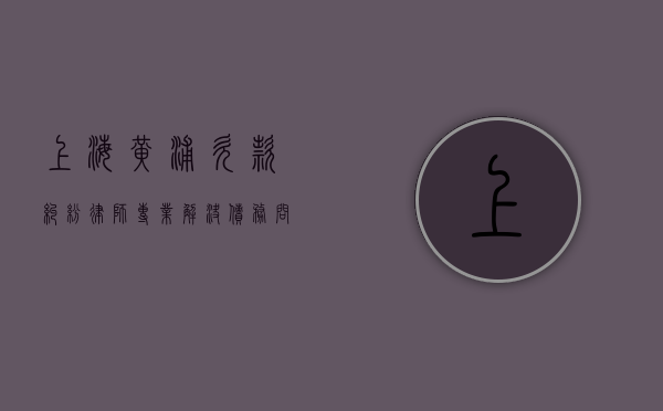 上海黄浦欠款纠纷律师，专业解决债务问题，维护您的合法权益