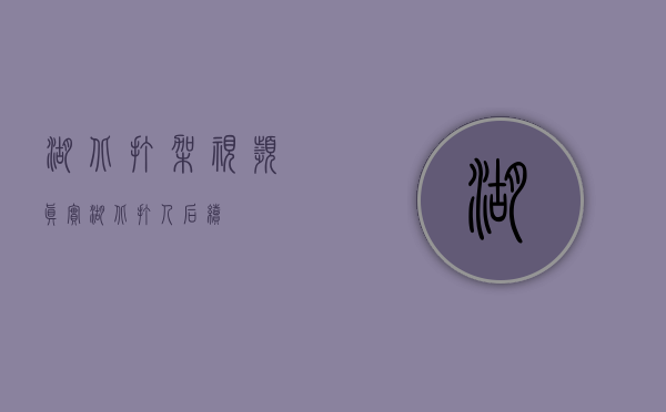 湖北打架视频真实（湖北打人后续）