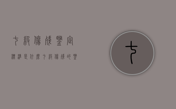 七级伤残鉴定标准是什么（七级伤残的鉴定标准）