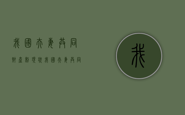 我国夫妻共同财产制现状（我国夫妻共同财产的界定）