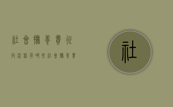 社会抚养费征收流程有哪些（社会抚养费征收流程图片）