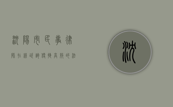 沈阳市民事律师在线咨询，便捷高效的法律服务新选择
