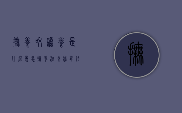 抚养和赡养是什么意思（抚养法和赡养法）