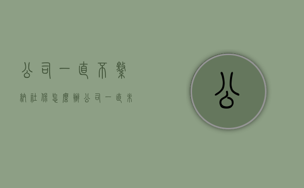 公司一直不缴纳社保怎么办？（公司一直未交社保怎么赔偿）
