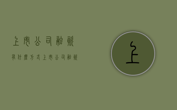 上市公司融资有什么方式（上市公司融资流程图）