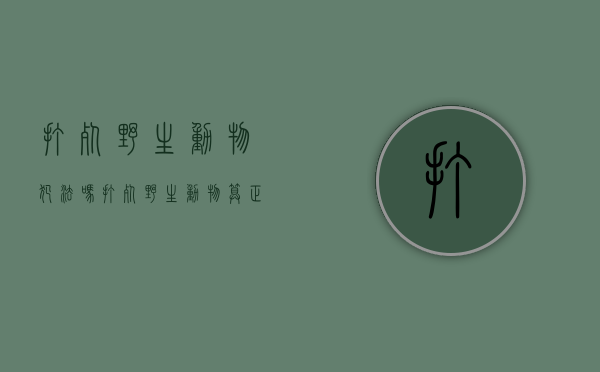 打死野生动物犯法吗（打死野生动物算正当防卫吗）
