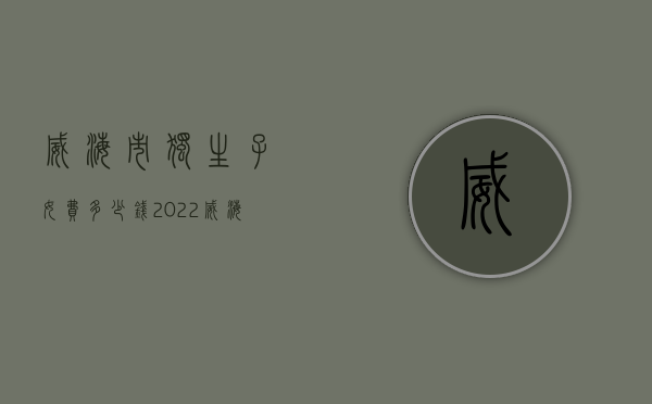 威海市独生子女费多少钱（2022威海离婚抚养费最低标准是多少）