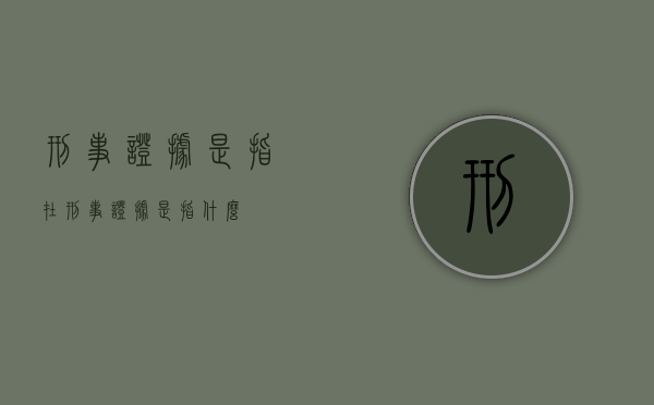 刑事证据是指在（刑事证据是指什么）