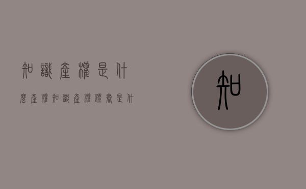 知识产权是什么产权（知识产权证书是什么样的）