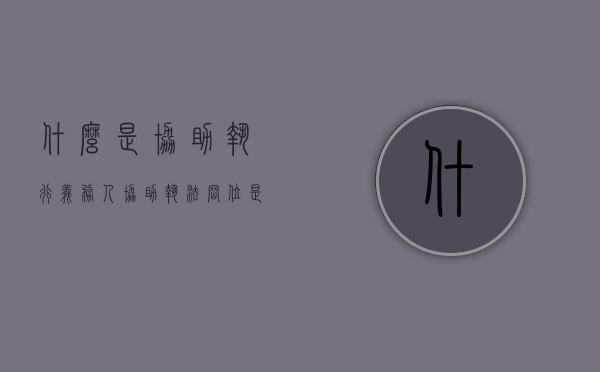 什么是协助执行义务人（协助执法岗位是干什么的）