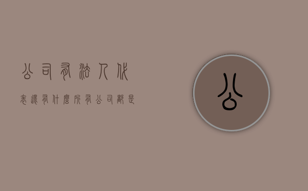 公司有法人代表还有什么（所有公司都是法人吗）