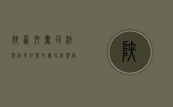 陕西文书司法鉴定是什么（文书司法鉴定检验方法）