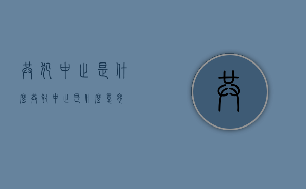 共犯中止是什么（共犯中止是什么意思）