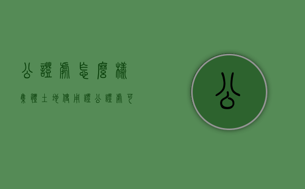 公证处怎么样集体土地使用证（公证处可以帮集体土地公证吗多少钱）