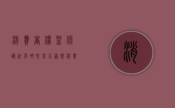 消费者权益保护法有哪些基本原则（消费者权益保护法理解与适用）