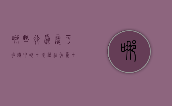 哪些行为属于拆迁中的土地违法行为（土地使用及拆迁补偿费包括）