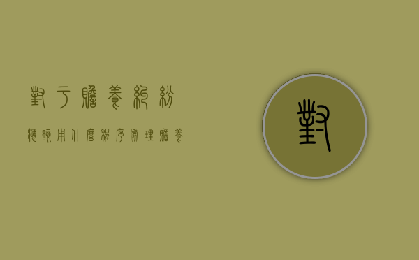 对于赡养纠纷应该用什么程序（处理赡养纠纷的技巧）