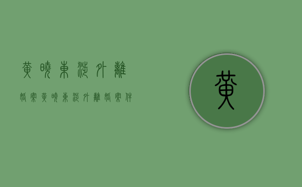 黄晓东涉外离婚案（黄晓东涉外离婚案件）