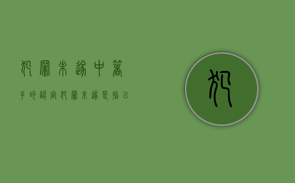 犯罪未遂中“着手”的认定（犯罪未遂是指已经着手实行犯罪）