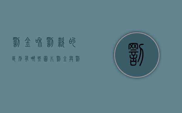 罚金和罚款的区别有哪些图片（罚金与罚款有哪些不一样）