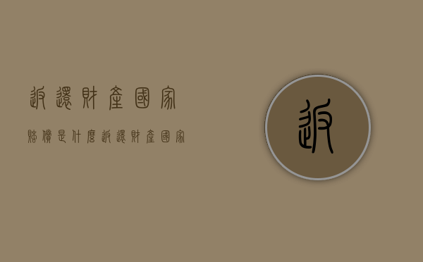 返还财产国家赔偿是什么（返还财产国家赔偿是什么案由）