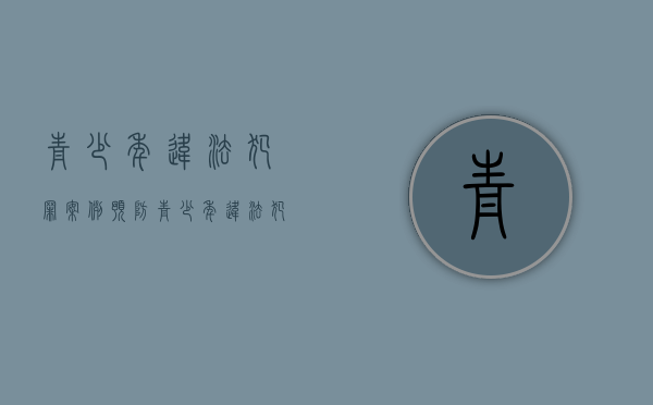 青少年违法犯罪案例（预防青少年违法犯罪宣传手册）