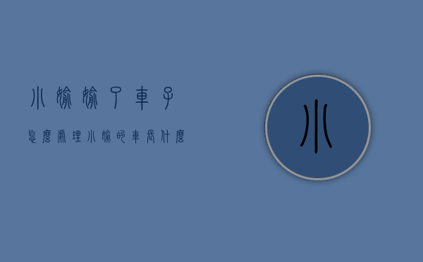 小偷偷了车子怎么处理（小偷的车长什么样子）