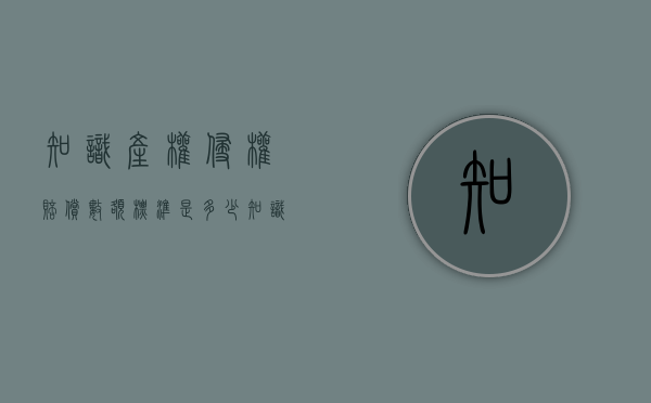 知识产权侵权赔偿数额标准是多少（知识产权的侵权赔偿金额先以权利人的实际损失为准）