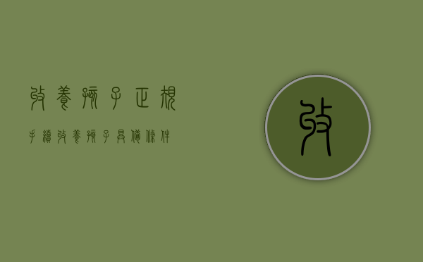 收养孩子正规手续（收养孩子具备条件）