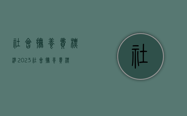 社会抚养费标准2023（社会抚养费标准2022年）