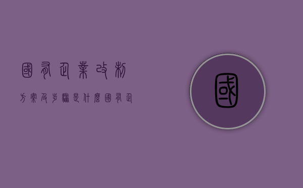 国有企业改制方案及步骤是什么（国有企业改制是什么意思）