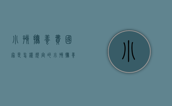 小孩抚养费国家是怎样规定的（小孩抚养费如何计算）