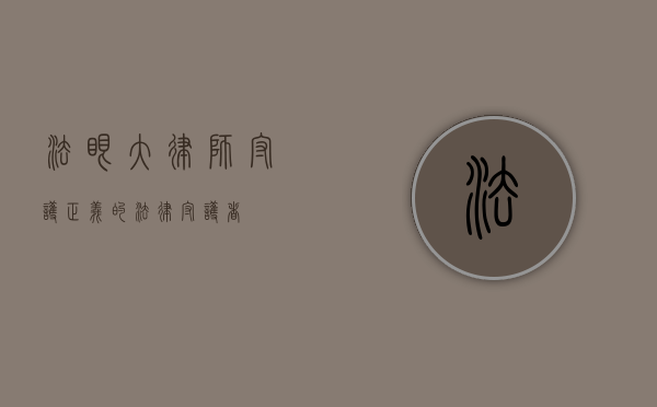 法眼大律师，守护正义的法律守护者