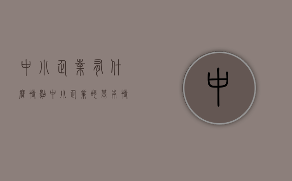 中小企业有什么特点（中小企业的基本特点）