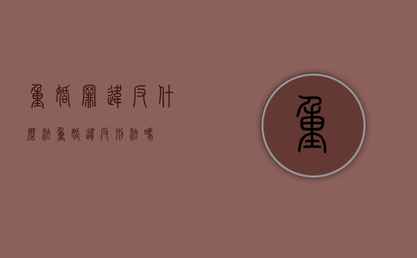 重婚罪违反什么法（重婚违反刑法吗）
