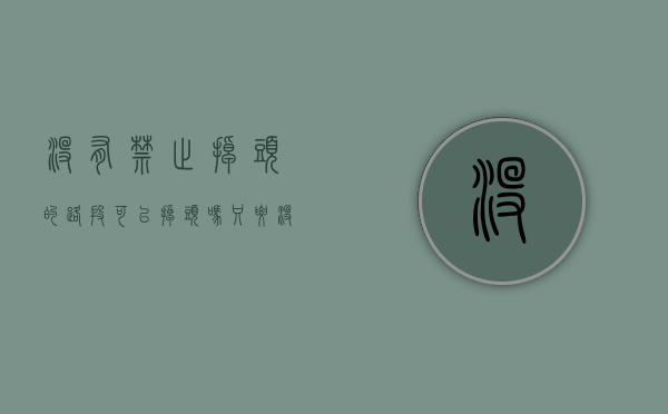 没有禁止掉头的路段可以掉头吗（只要没有禁止掉头的标志都可以掉头吗）